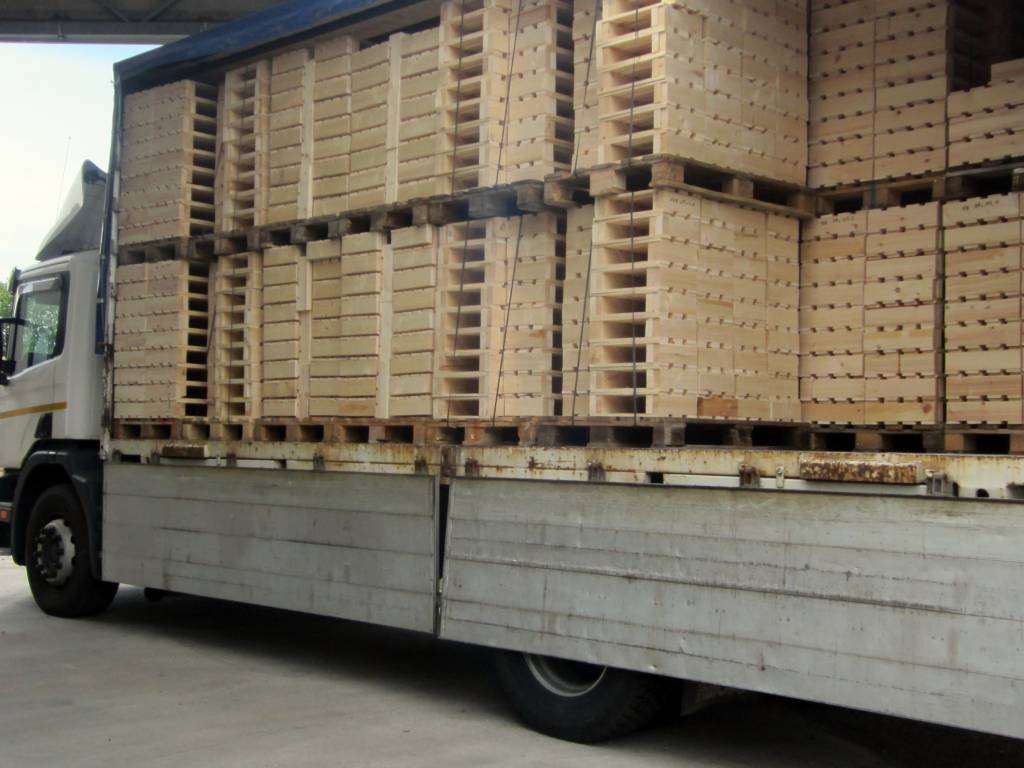 Pallets per espositori in cartone